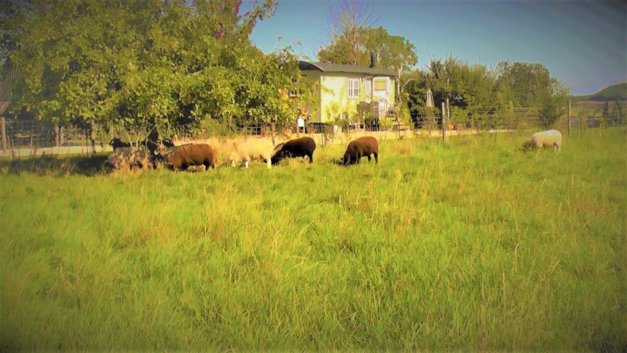 The Abberton Shepherds Hut อีฟแชม ภายนอก รูปภาพ