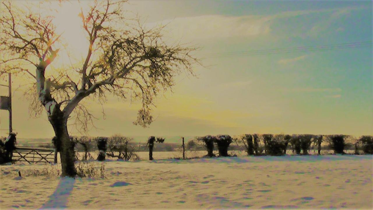 The Abberton Shepherds Hut อีฟแชม ภายนอก รูปภาพ